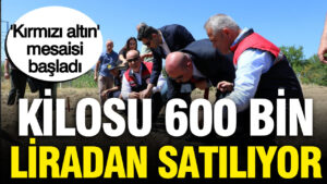 haber-gorseli-1787148544764